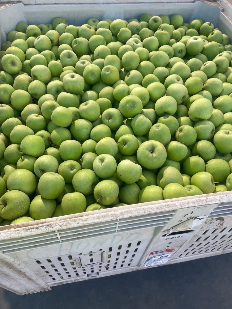 apple