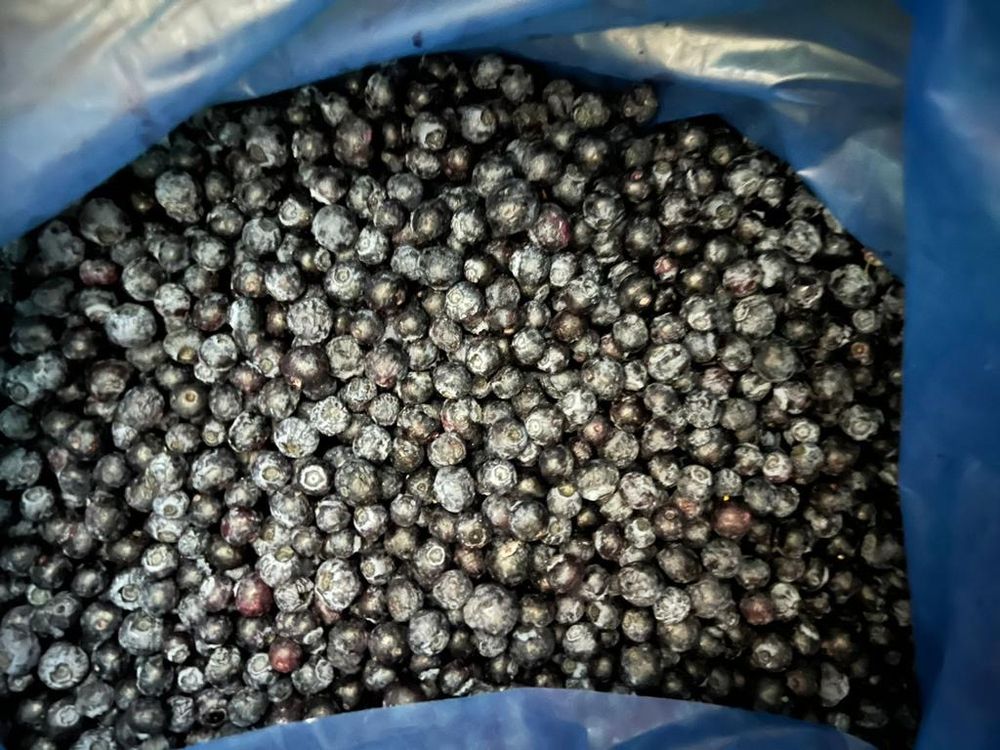 blueberry