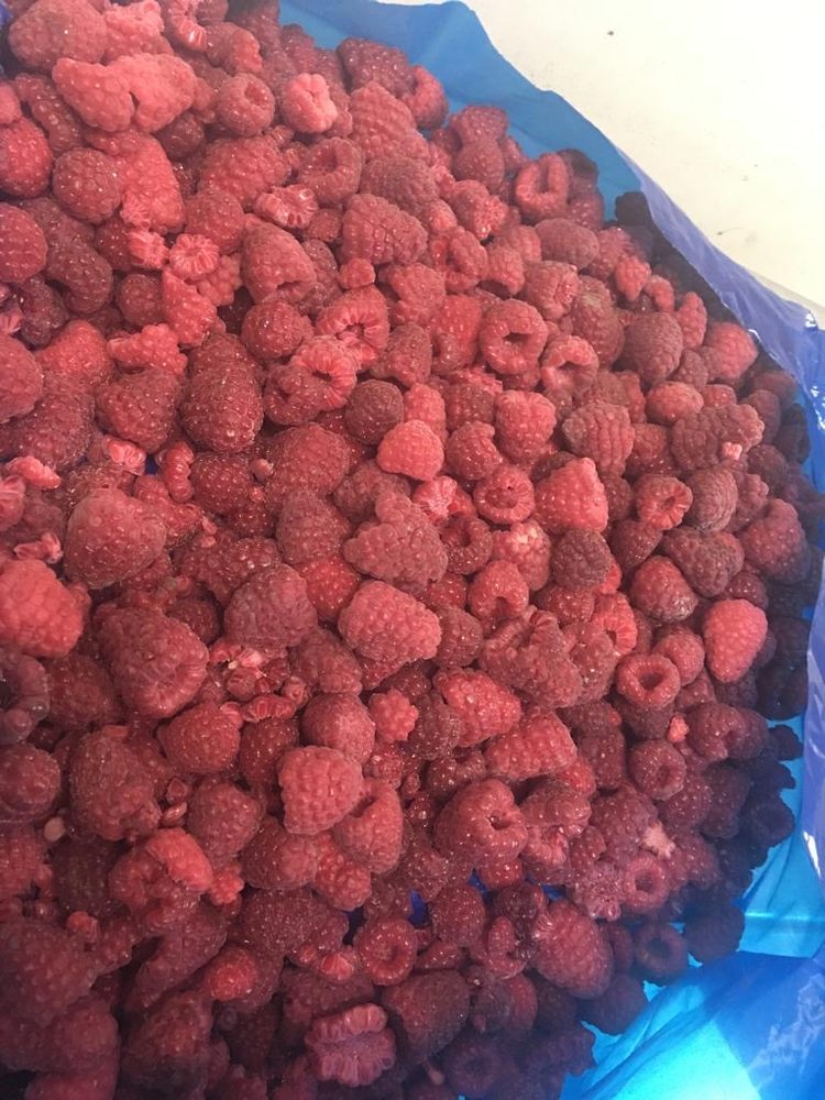 raspberry